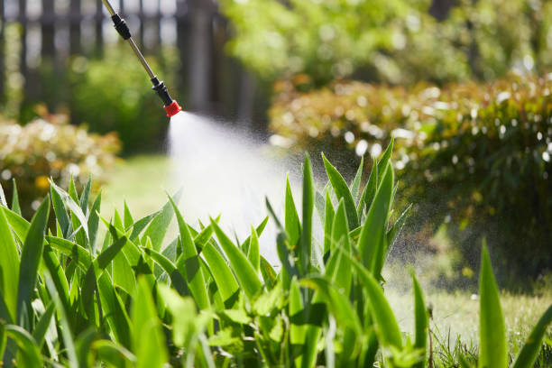 24/7 Emergency Mosquito Control experts in Lawrence, NY